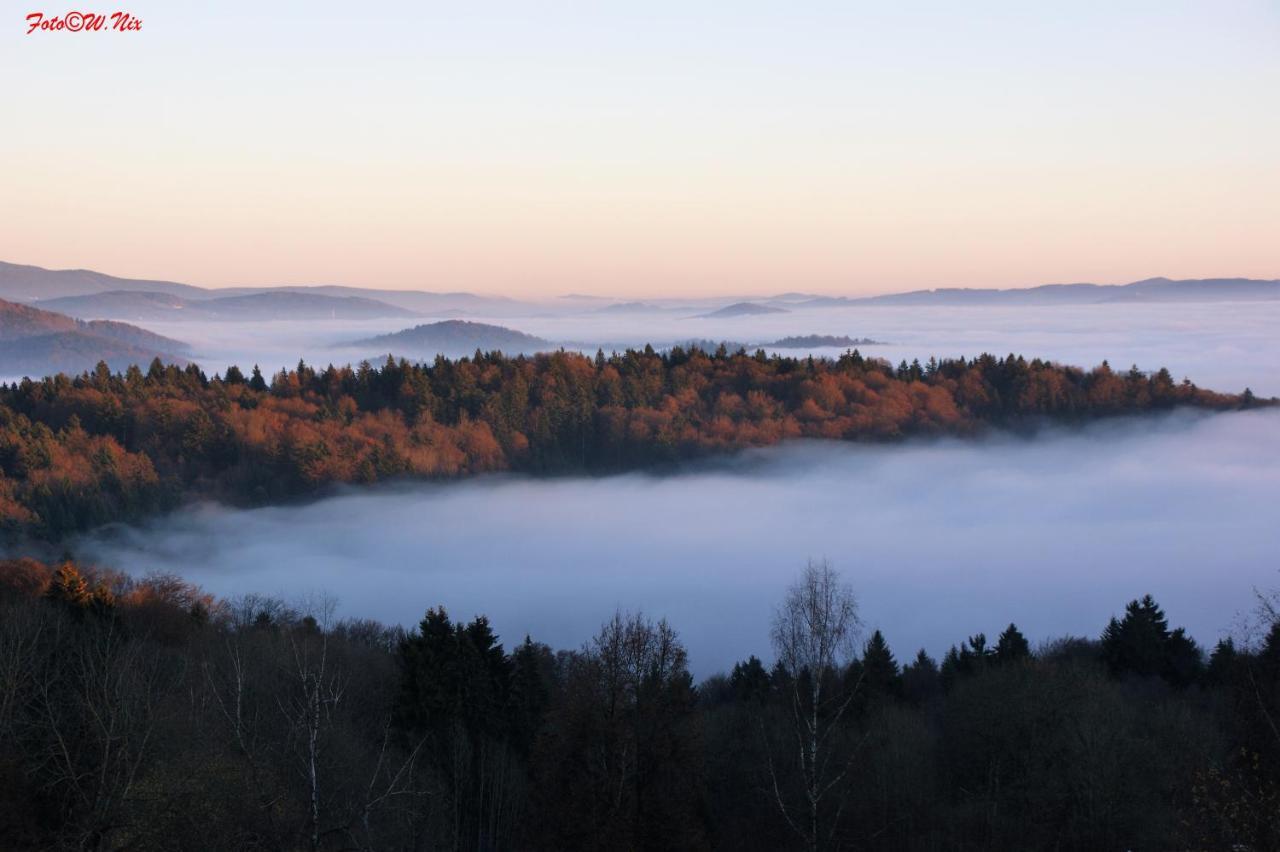 Ferienwohnung Uns Uwe Freyung Bagian luar foto