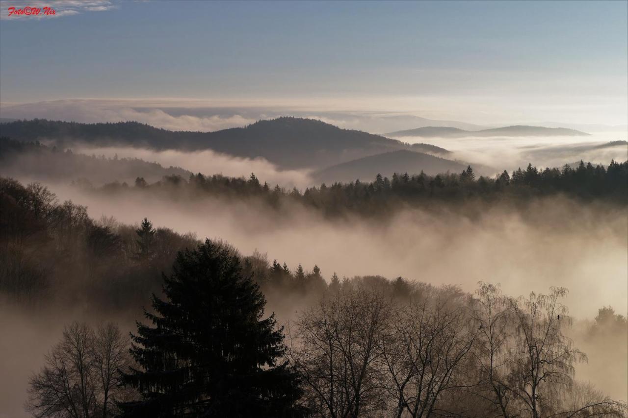 Ferienwohnung Uns Uwe Freyung Bagian luar foto
